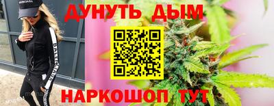 прущие крисы Кингисепп