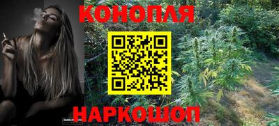 spice Кинель