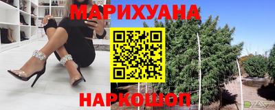 прущие крисы Кингисепп