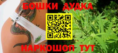 СК Кимры