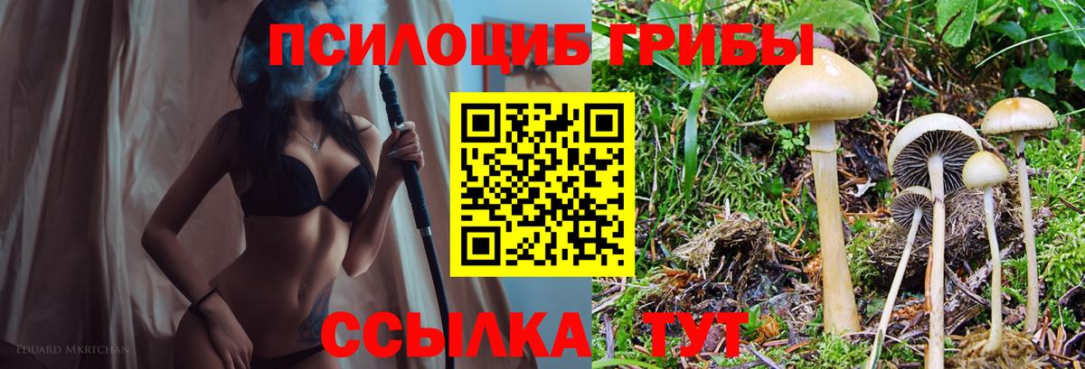 Благовещенск  Галлюциногенные грибы мухоморы  как найти наркотики  Вход с VPN 