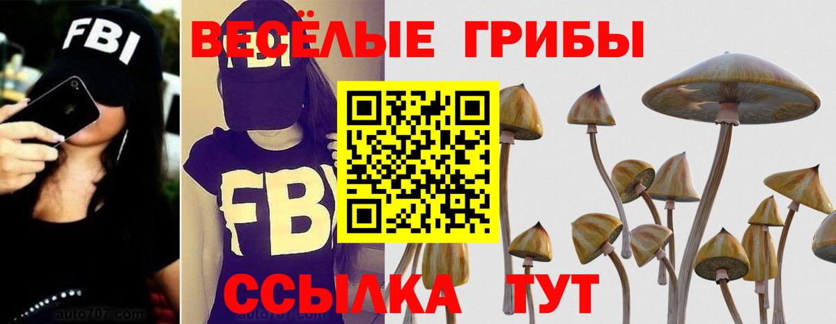 Галлюциногенные грибы мухоморы Благовещенск